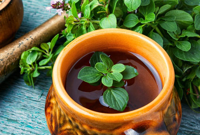 Marjoram-tea-for-Relieve-diarrhea-quickly 